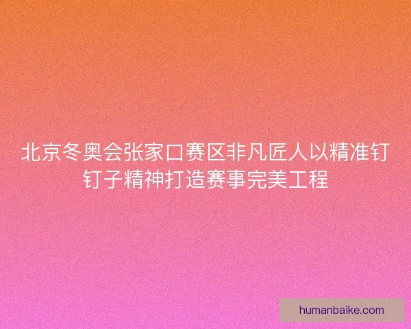 北京冬奥会张家口赛区非凡匠人以精准钉钉子精神打造赛事完美工程